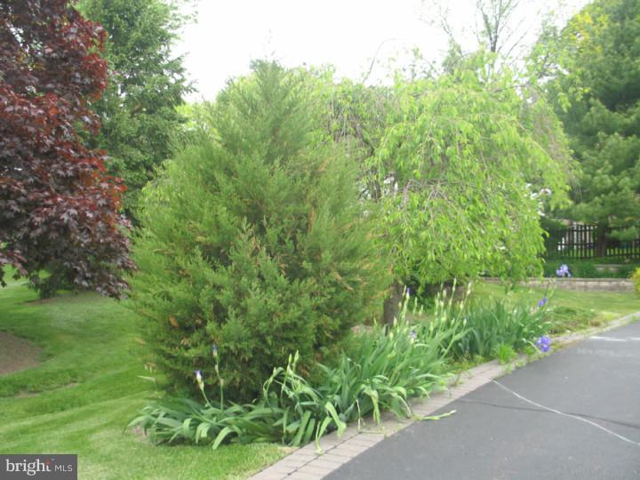 334 Windy Run Road Doylestown, PA 18901 - Photo 6 of 24 Exterior