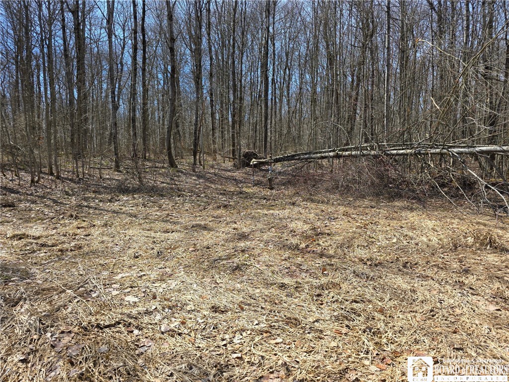 0 West Cobb Road Falconer, NY 14733 - Photo 36 of 49