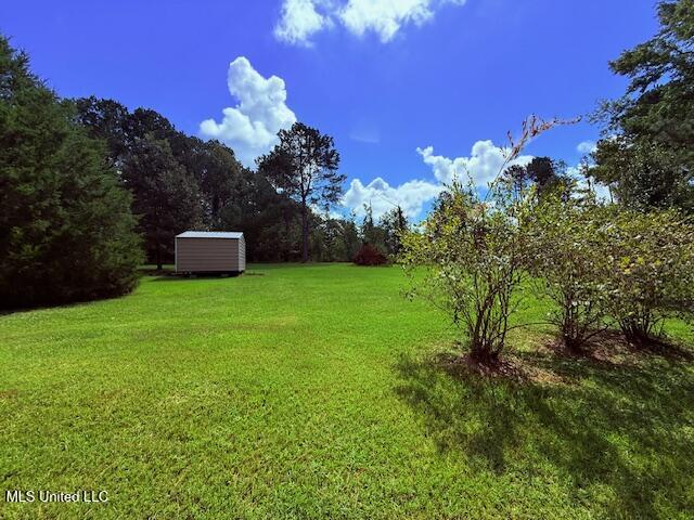 97 Jack Duncan Road Tylertown, MS 39667 - Photo 16 of 33 IMG_0412