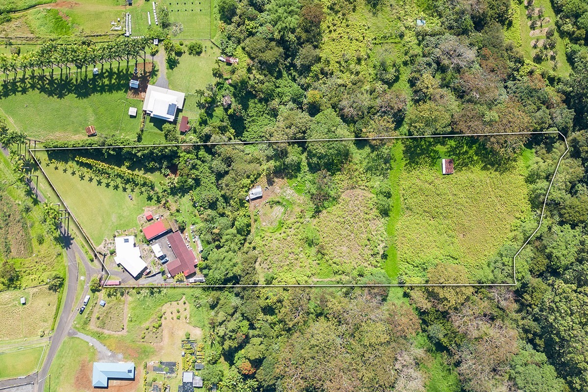 an aerial view of residential house with outdoor space and trees around