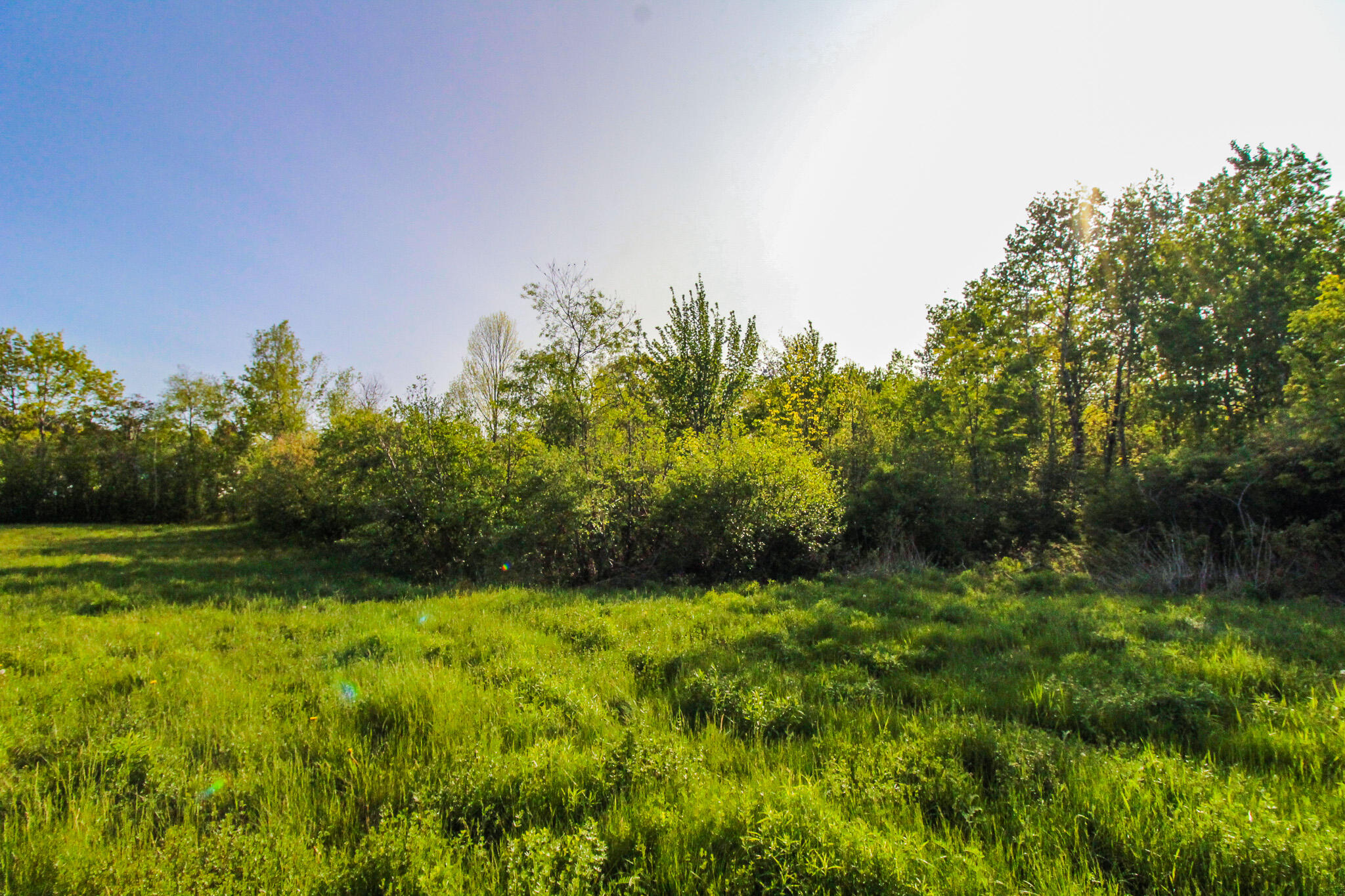 56 River Road Orrington, ME 04474 - Photo 1 of 11 IMG_0008