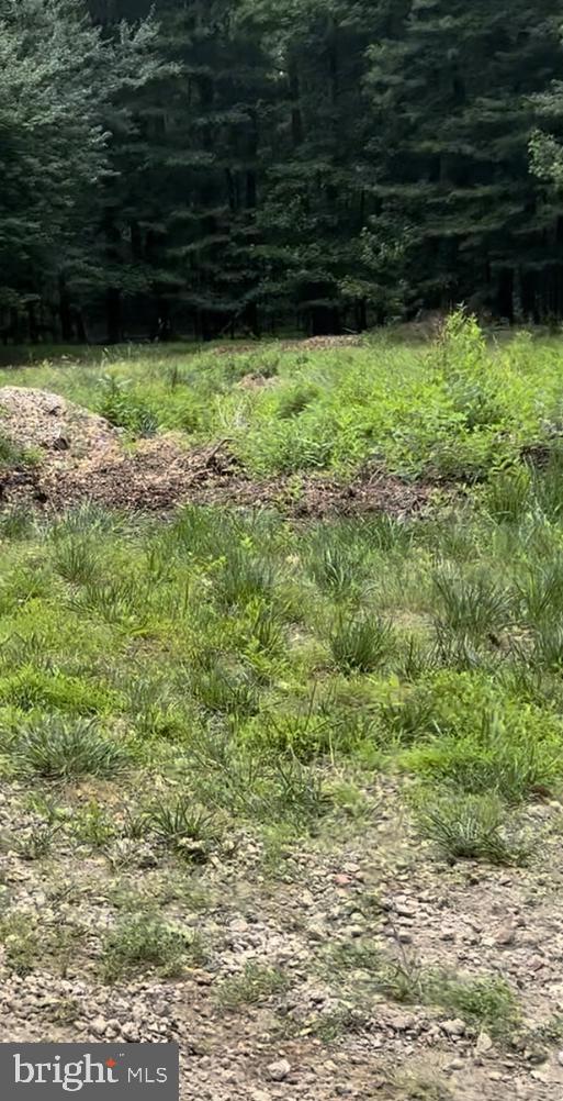 321 Ark Road Mount Laurel, NJ 08054 - Photo 2 of 3 a view of outdoor space with deck
