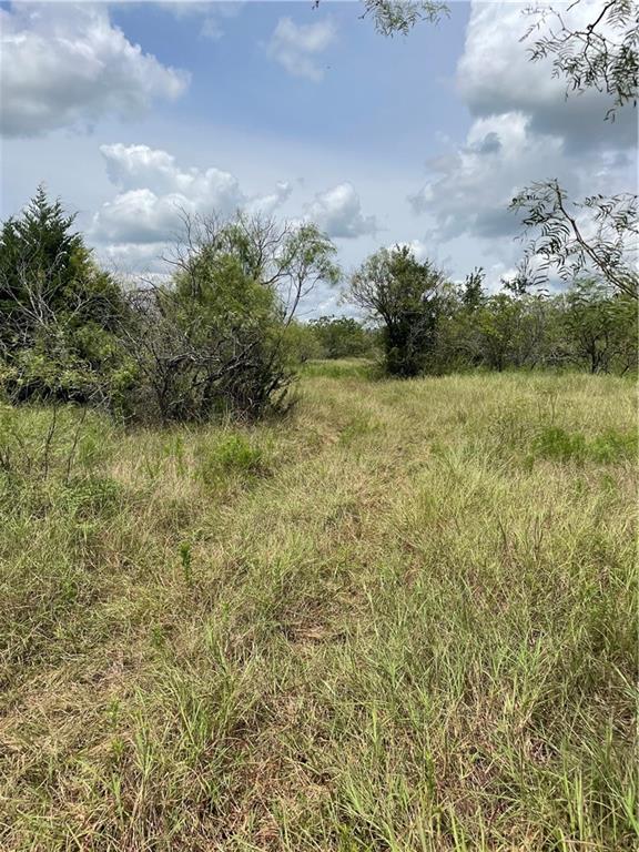 9025 Burklund Farms Road Del Valle, TX 78617 - Photo 13 of 14 a view of a yard