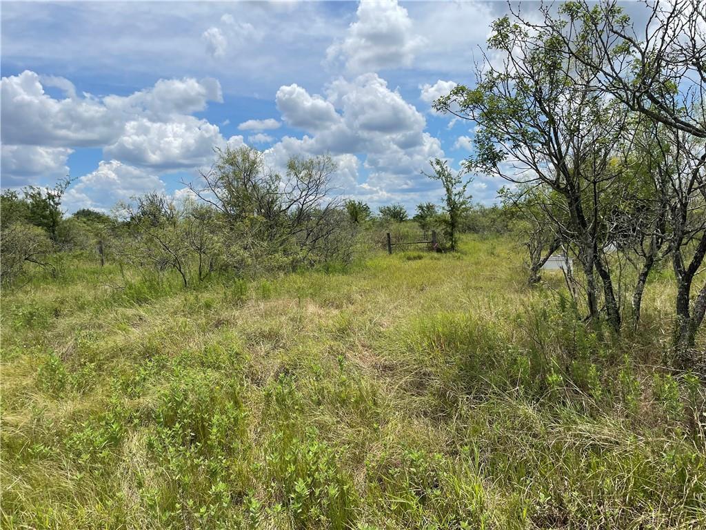 9025 Burklund Farms Road Del Valle, TX 78617 - Photo 3 of 14 a view of a bunch of trees and bushes
