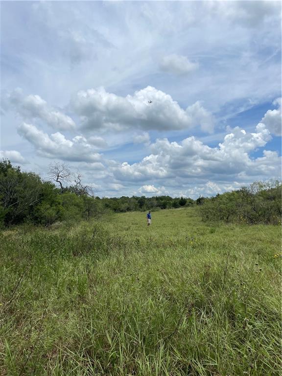 9025 Burklund Farms Road Del Valle, TX 78617 - Photo 6 of 14 a view of a city with lush green forest