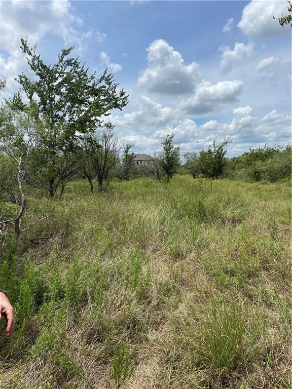 9025 Burklund Farms Road Del Valle, TX 78617 - Photo 7 of 14 a view of a field of grass and trees