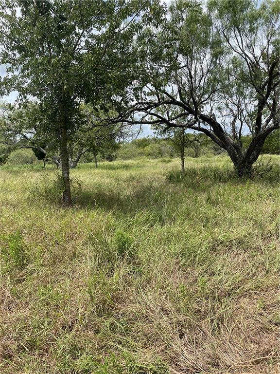 9025 Burklund Farms Road Del Valle, TX 78617 - Photo 8 of 14 a big yard with lots of green space and tree