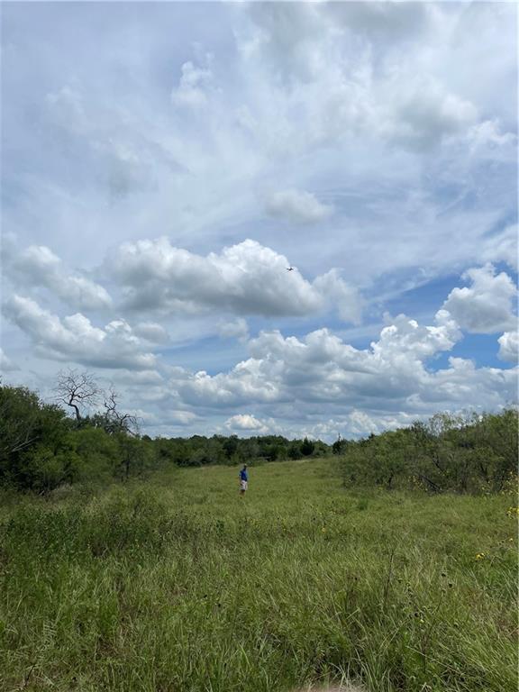9025 Burklund Farms Road Del Valle, TX 78617 - Photo 9 of 14 a view of a city and mountains