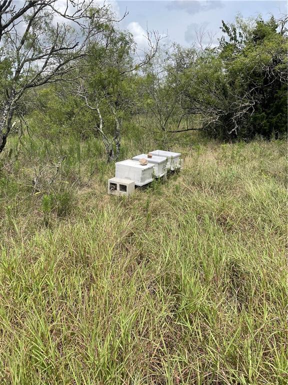 9025 Burklund Farms Road Del Valle, TX 78617 - Photo 10 of 14 a bathroom with a toilet and a sink