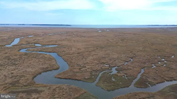 a view of beach and ocean