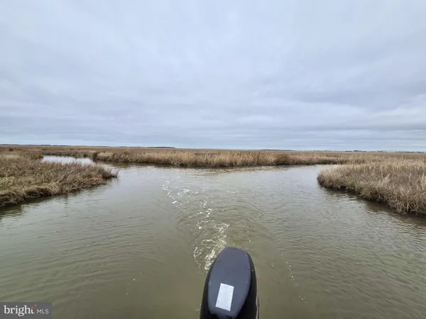 a view of an ocean beach