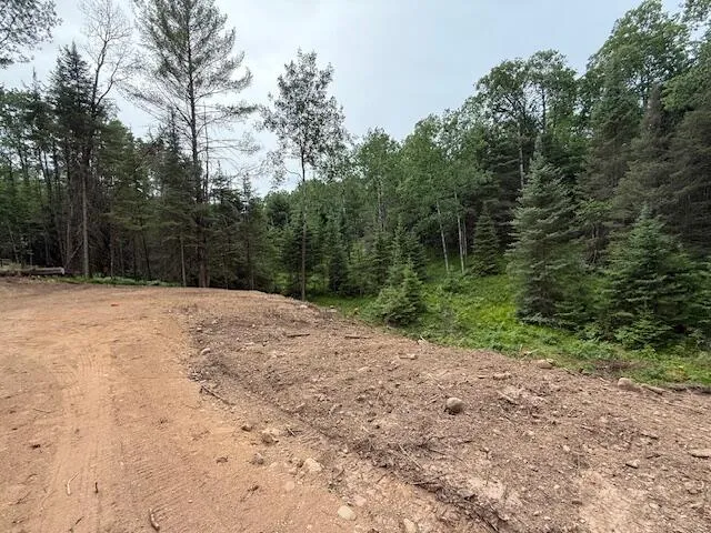 $64,999 | Pcl 41-prt Northwest Pcl 41-prt Nw Sw Plum Lake, Star Lake, WI 54561