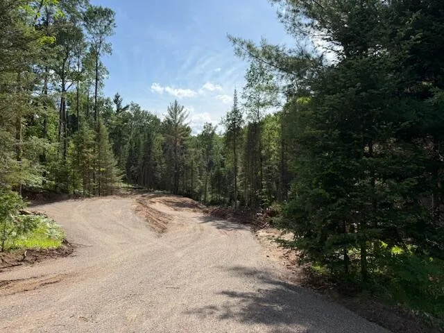 $64,999 | Pcl 41-prt Northwest Pcl 41-prt Nw Sw Plum Lake, Star Lake, WI 54561