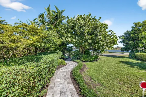 a view of a garden with plants and large trees