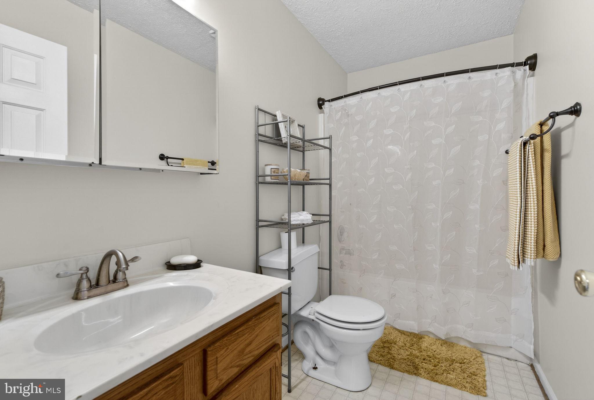 11576 Walters Road Orange, VA 22960 - Photo 34 of 61 a bathroom with a sink toilet and shower