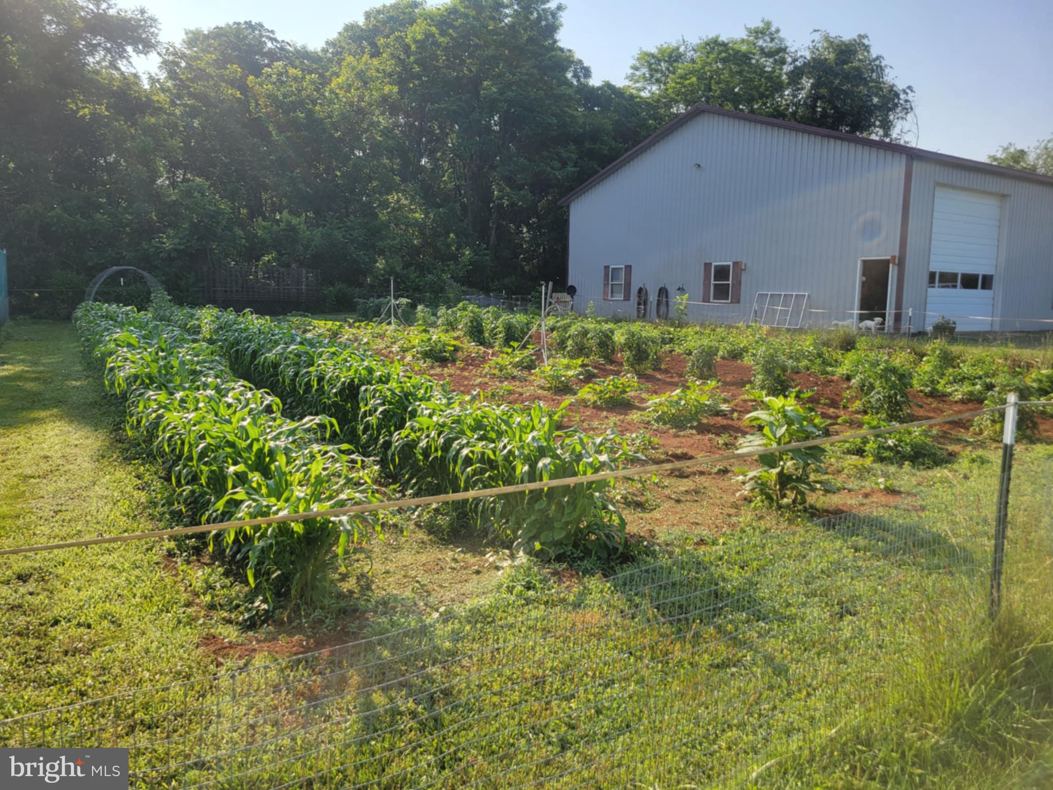 11576 Walters Road Orange, VA 22960 - Photo 61 of 61 a backyard of a house with lots of green space
