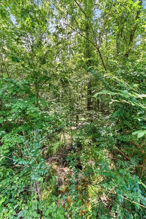 0 George Road Southwest Cave Spring, GA 30124 - Photo 7 of 22