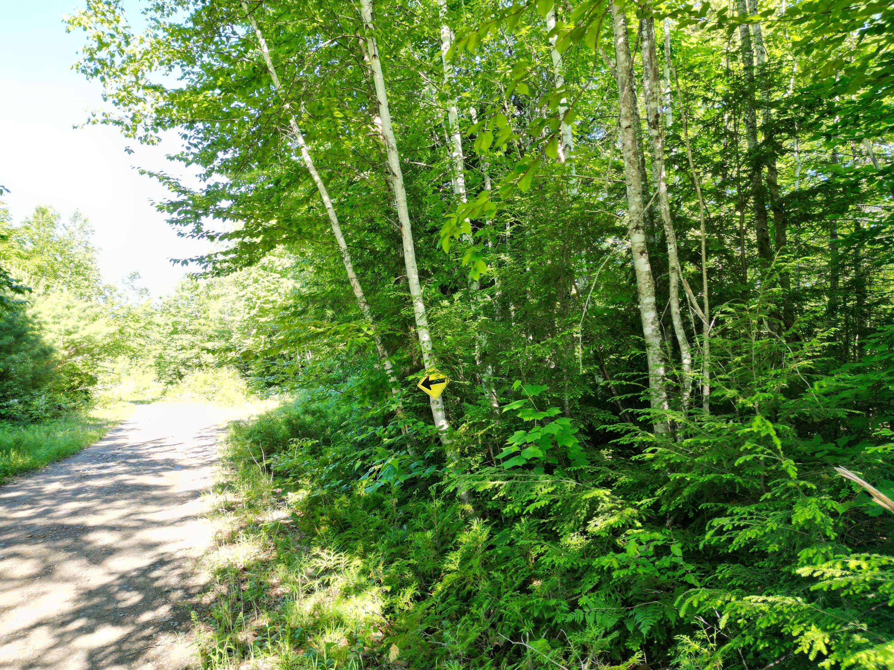 Lot 1 Dirty Glove Road Springfield, ME 04487 - Photo 14 of 21 DJI_0769