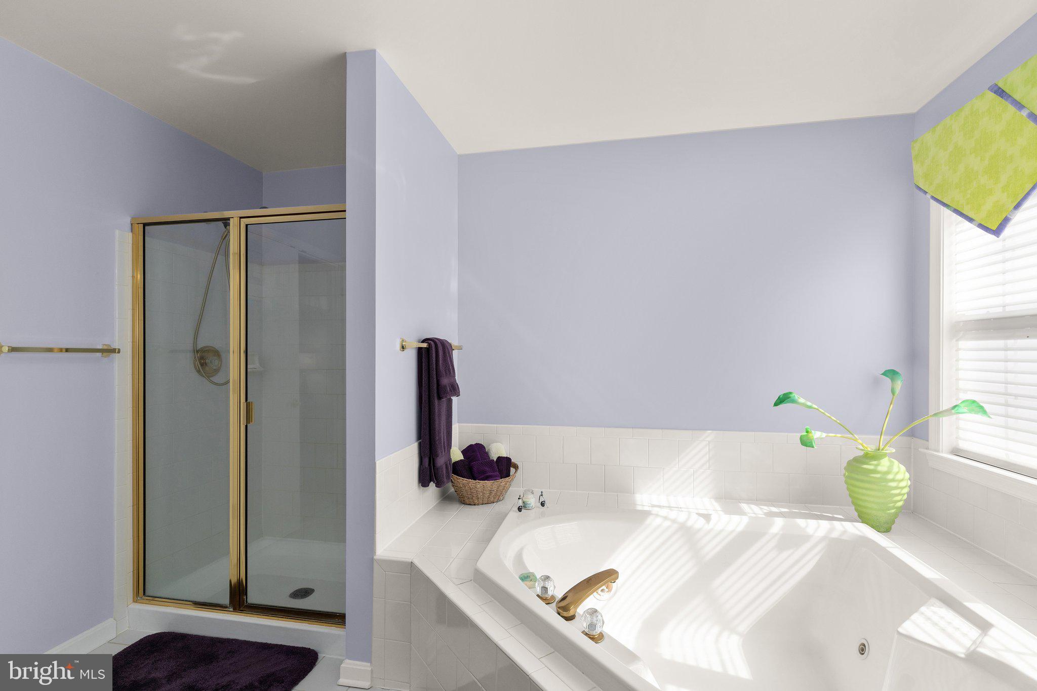 14215 Robcaste Road Phoenix, MD 21131 - Photo 24 of 51 Primary Bath with Walk in Shower & Tub