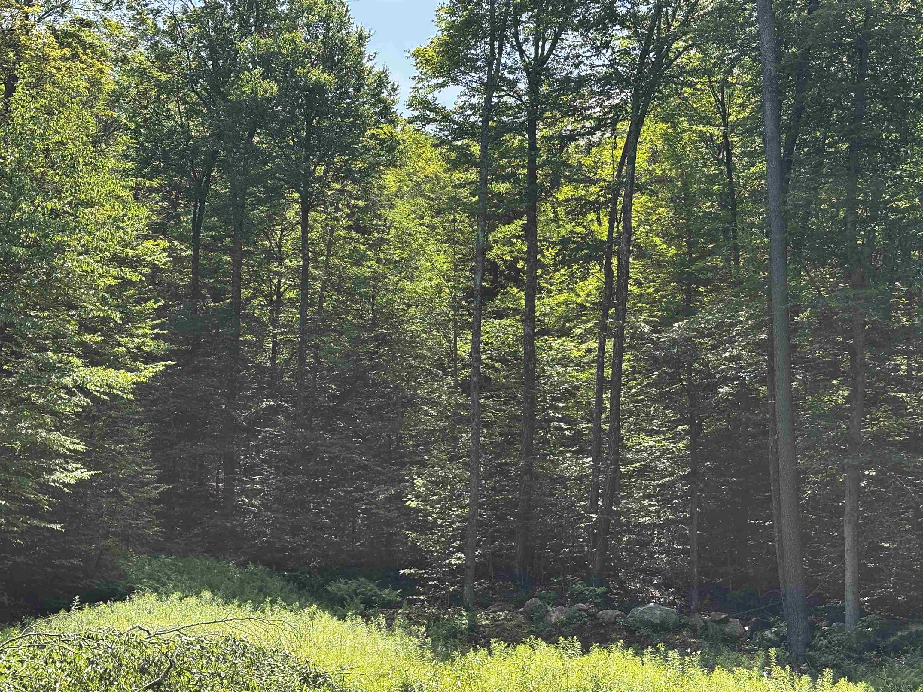 0 Quarry Road Chester, VT 05143 - Photo 11 of 25 Gallery Image 11