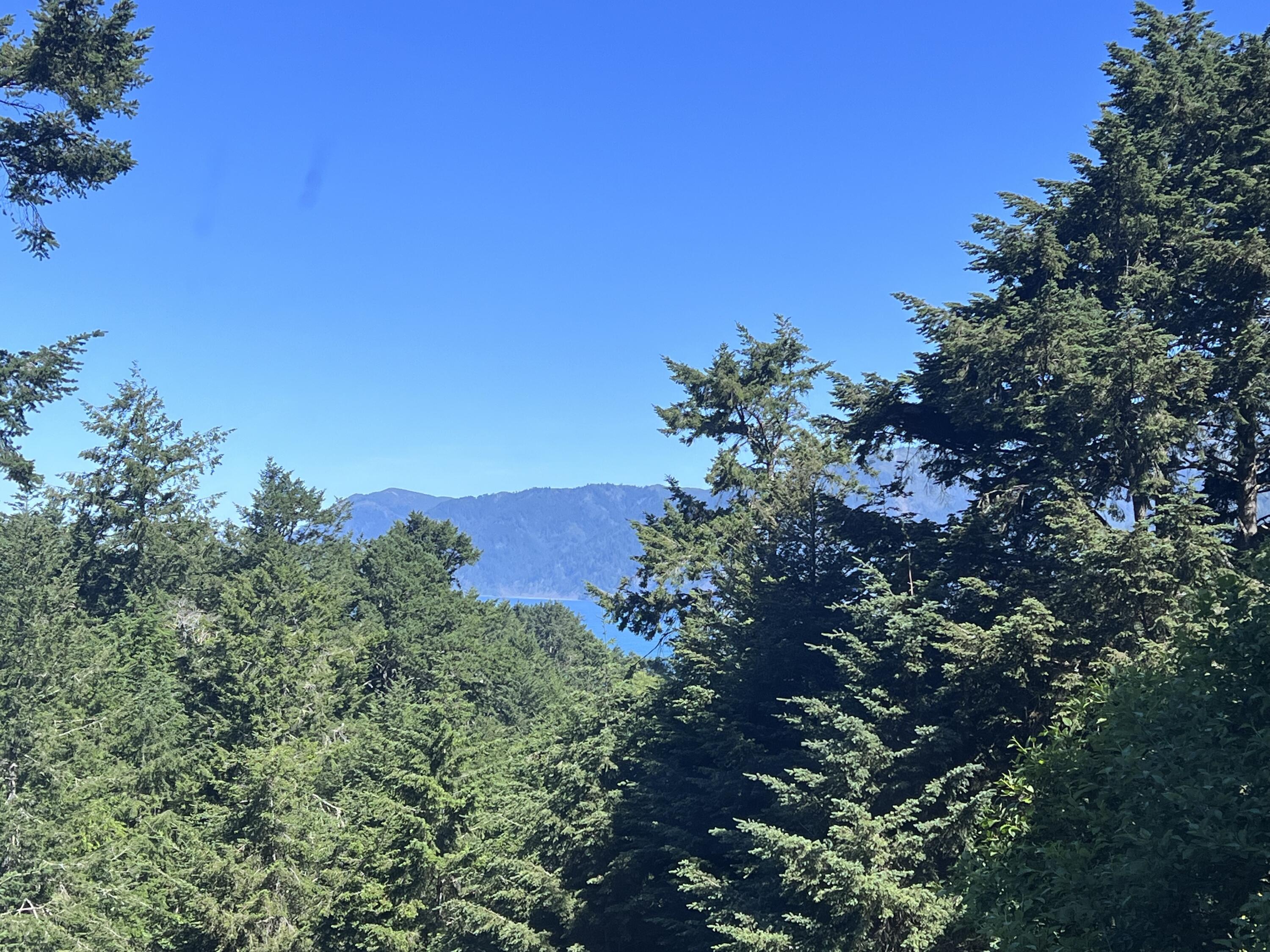 524 Spring Road Shelter Cove, CA 95589 - Photo 19 of 60 spring water view