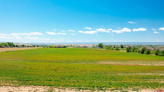 a view of an ocean beach