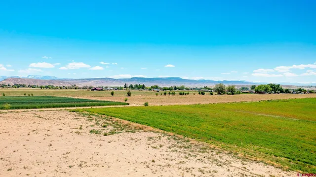 a view of an ocean and beach
