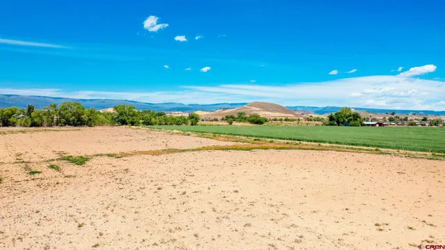 a view of a green field in the middle of a field