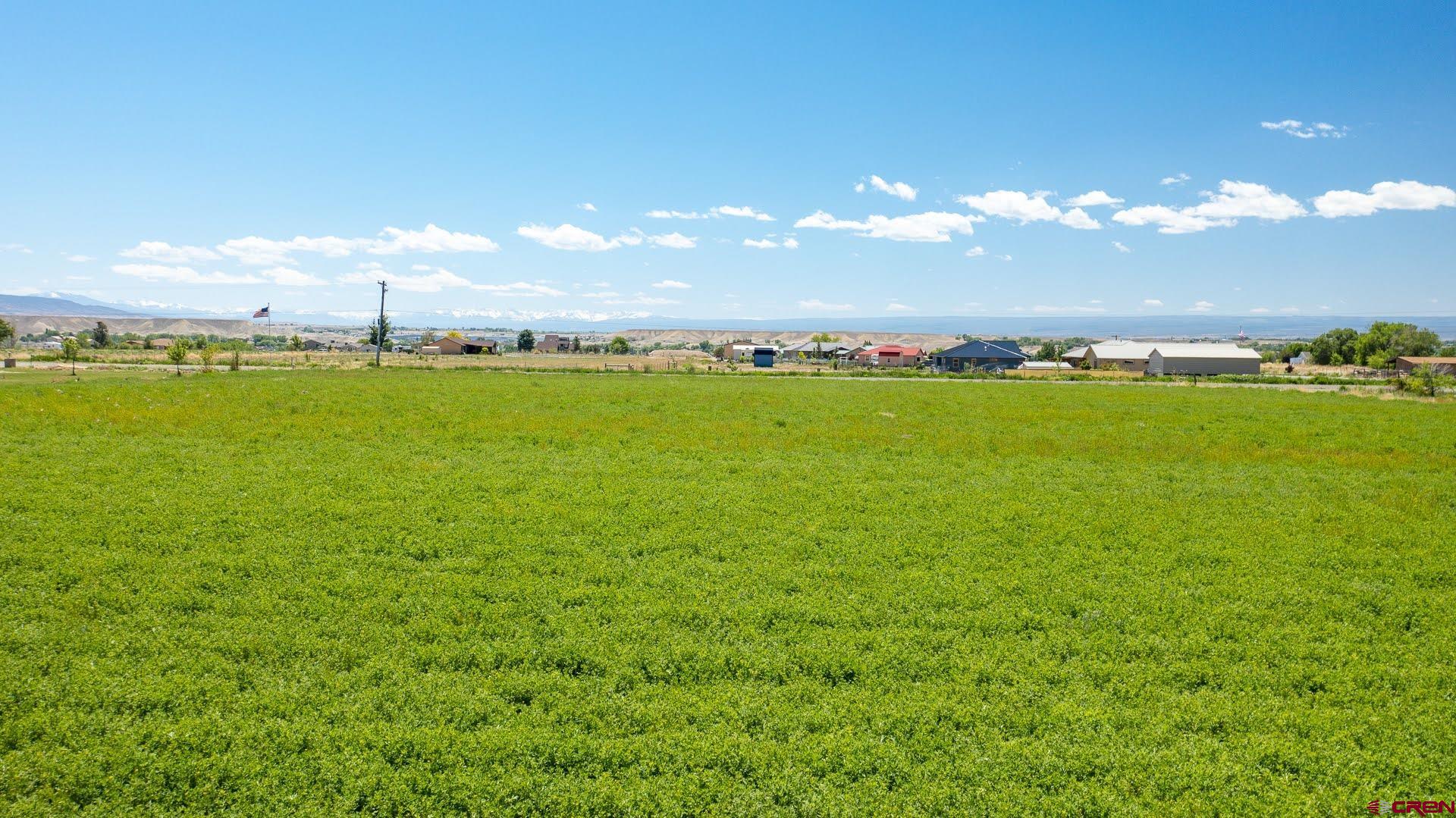Tbd Iris Road Austin, CO 81410 - Photo 15 of 16 a view of a green field in the middle of a field