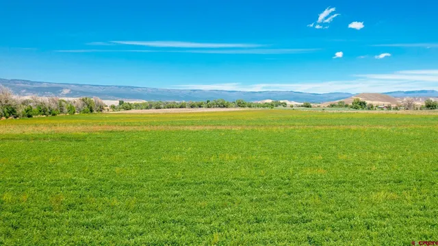 $499,000 | Tbd Iris Road, Austin, CO 81410