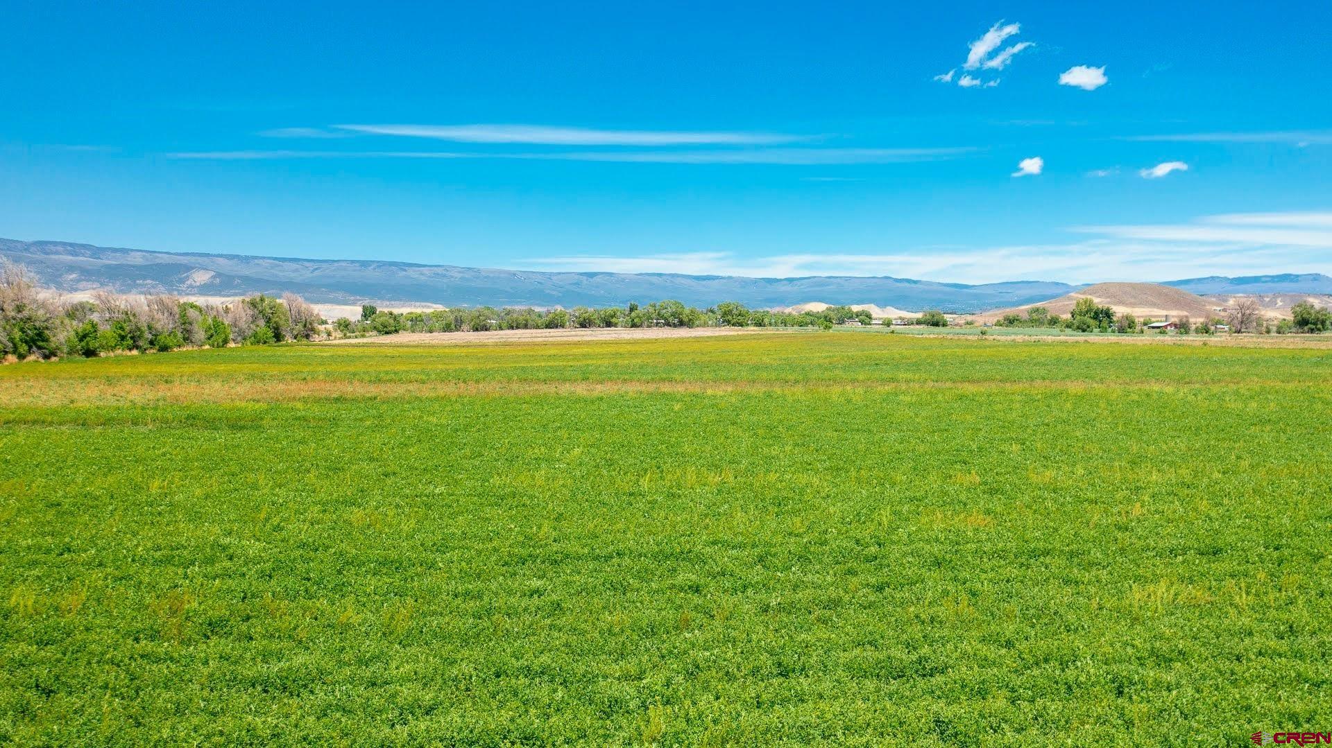 Tbd Iris Road Austin, CO 81410 - Photo 16 of 16 a view of an ocean