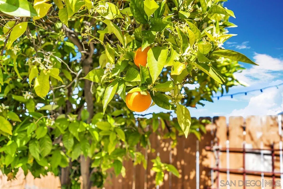 12232 Colony Drive Poway, CA 92064 - Photo 52 of 61