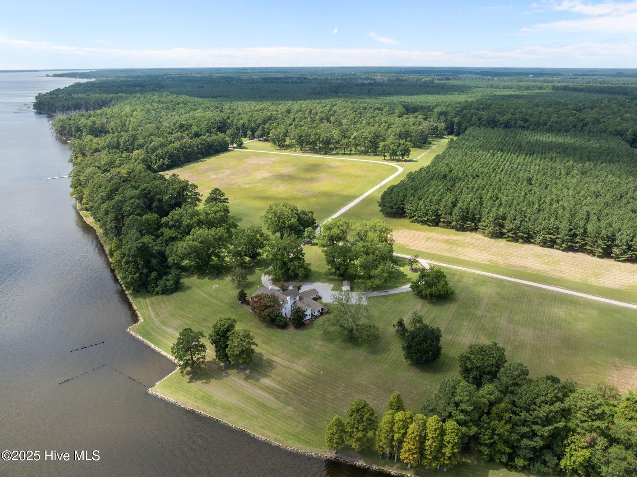 5624 Archbell Road Bath, NC 27808 - Photo 68 of 135 68-web-or-mls-DJI_0759