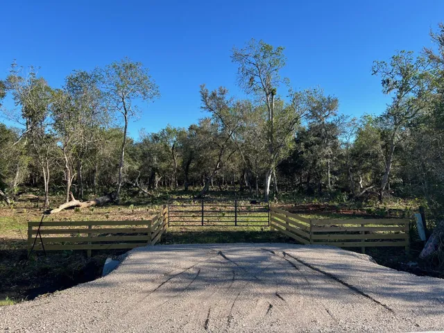 a view of a yard with plants and trees