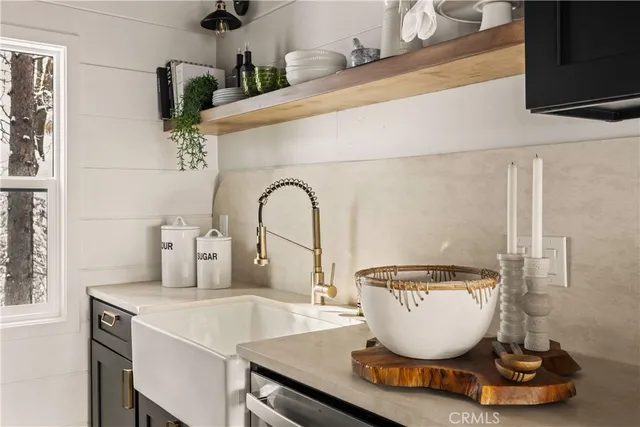 a room with a potted plant and a sink