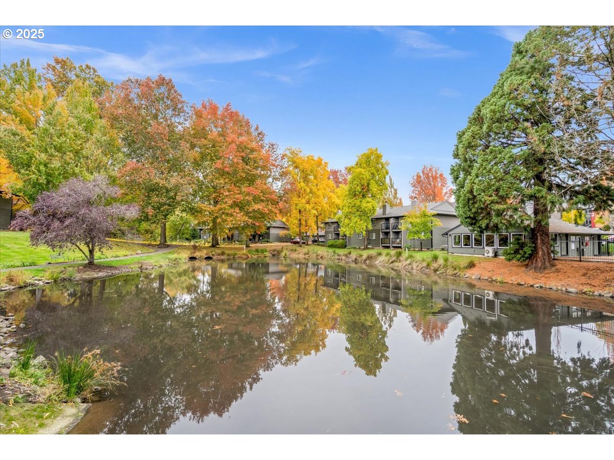 12612 Northwest Barnes Road, Unit 6 Portland, OR 97229 - Photo 34 of 40 a view of lake