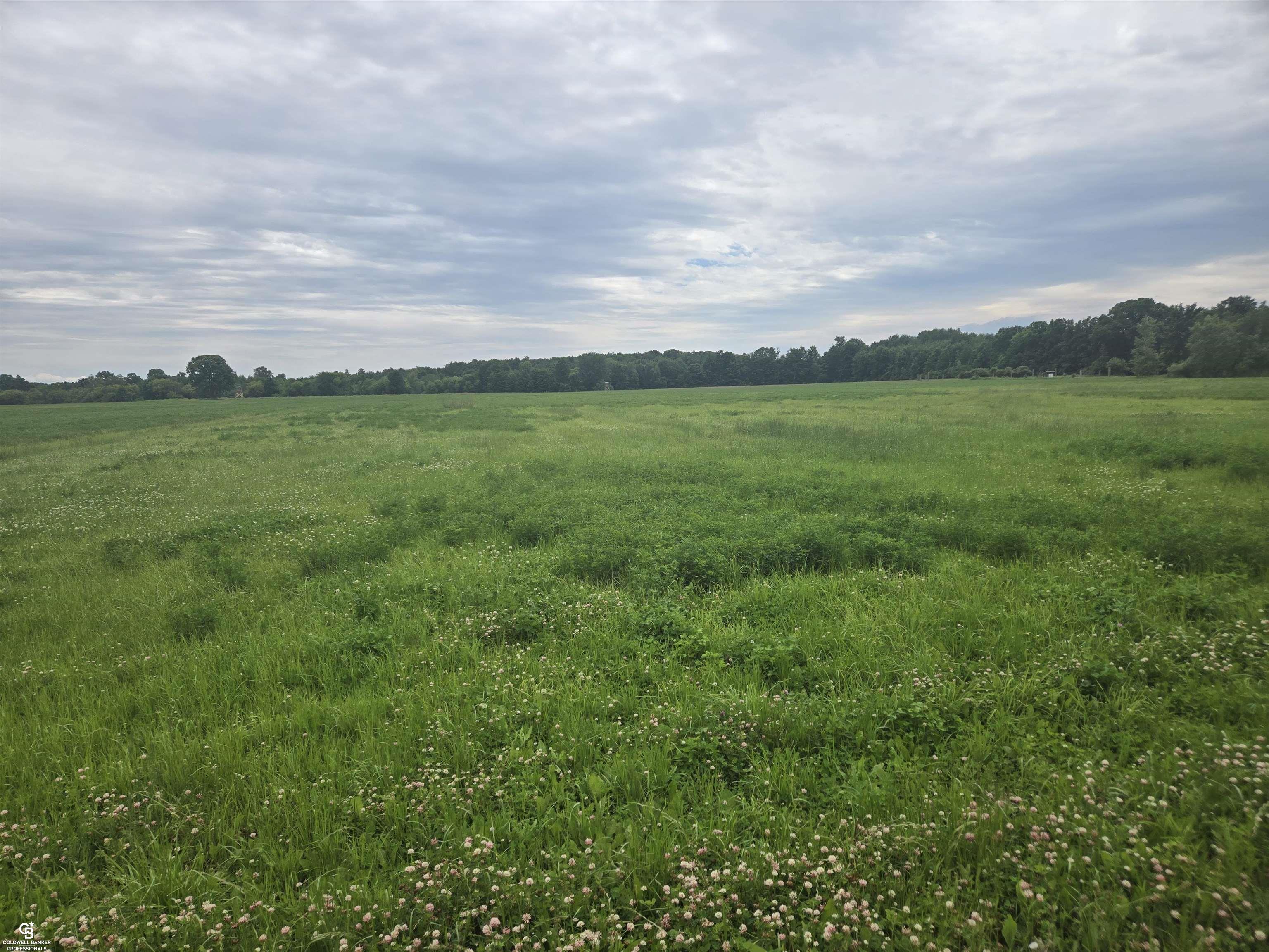 0 Imlay City Vl Road Avoca, MI 48006 - Photo 10 of 18