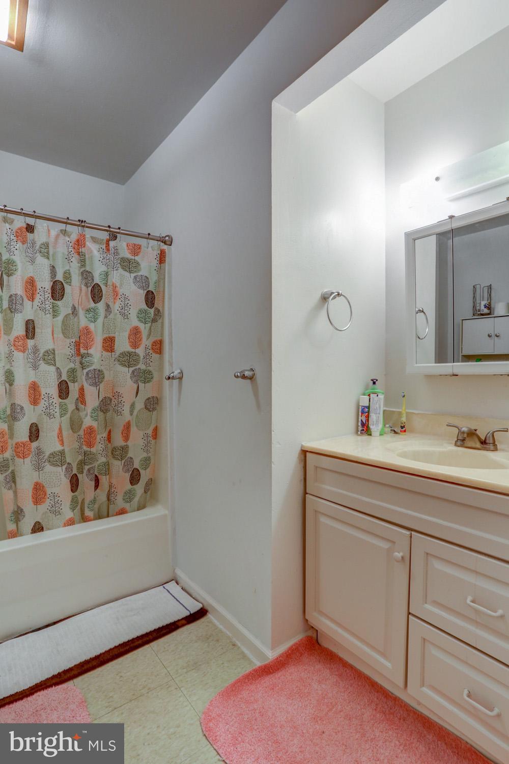 417 Green Street Lancaster, PA 17602 - Photo 28 of 37 a bathroom with a sink a mirror and a shower