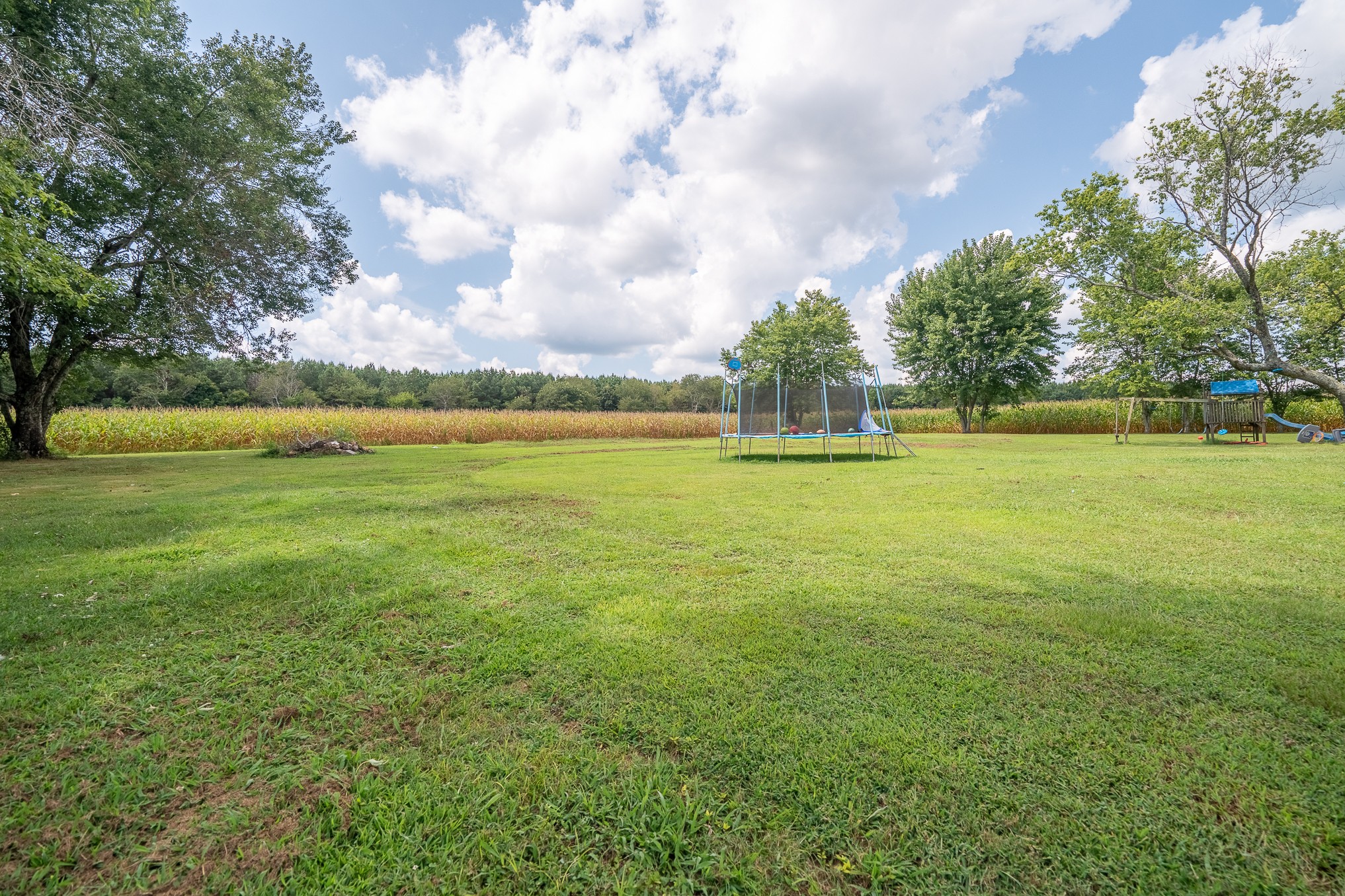 231 Rabbit Trail Road Leoma, TN 38468 - Photo 8 of 37