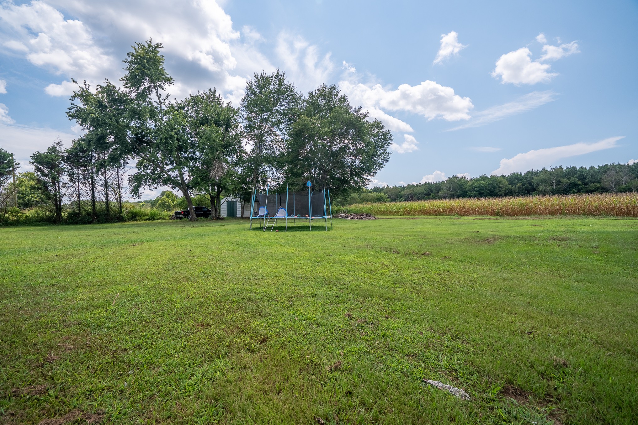 231 Rabbit Trail Road Leoma, TN 38468 - Photo 9 of 37 a view of a grassy field with an trees
