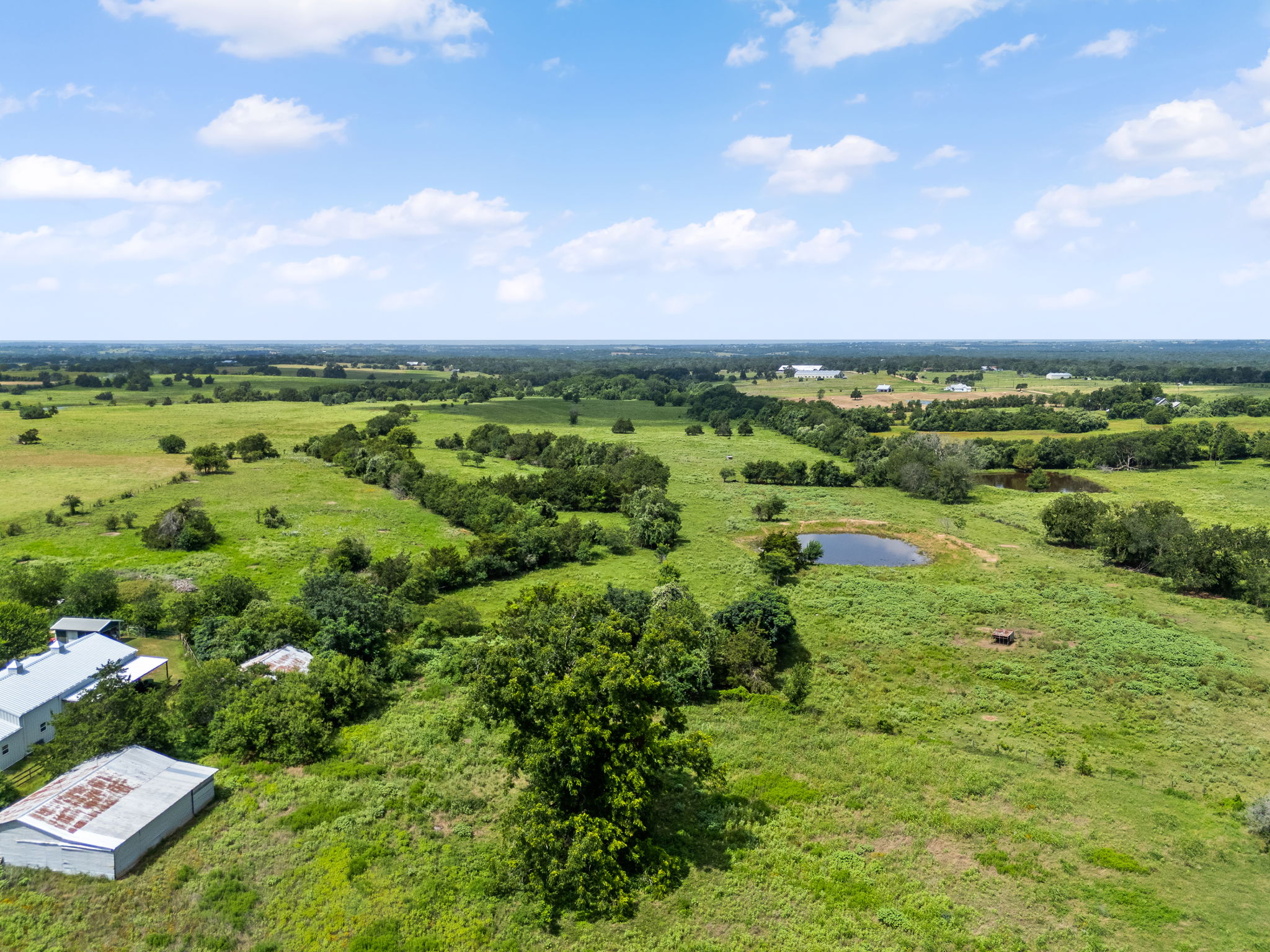 0 Thielemann Road Industry, TX 78944 - Photo 11 of 40 Vast green fields stretch under an open sky, encompassing a serene pond and distant structures.