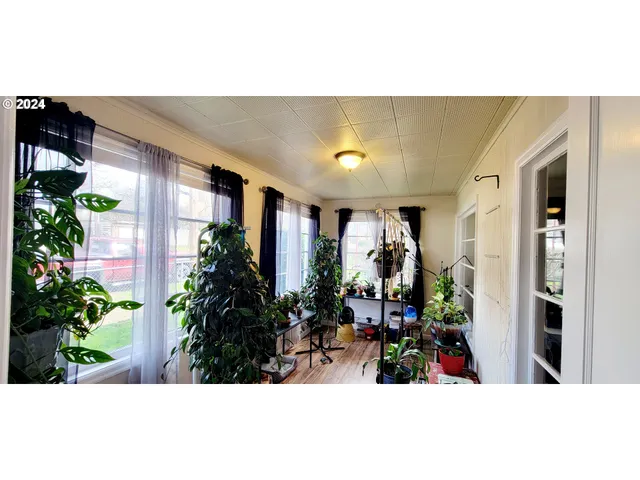 a view of a house with potted plants