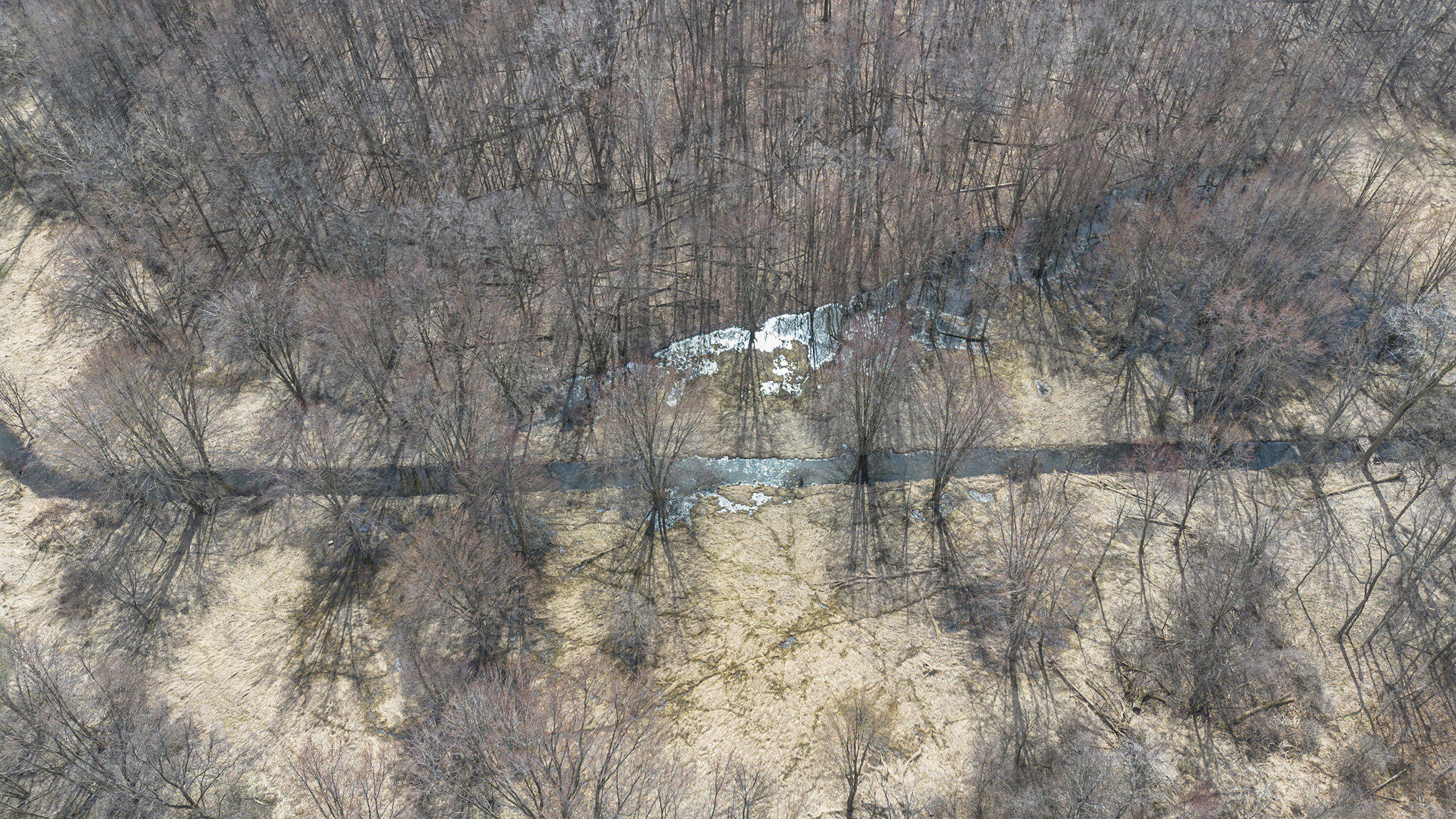 8710 Hagar Shore Road Watervliet, MI 49098 - Photo 12 of 13 012_dji_0001_2_861