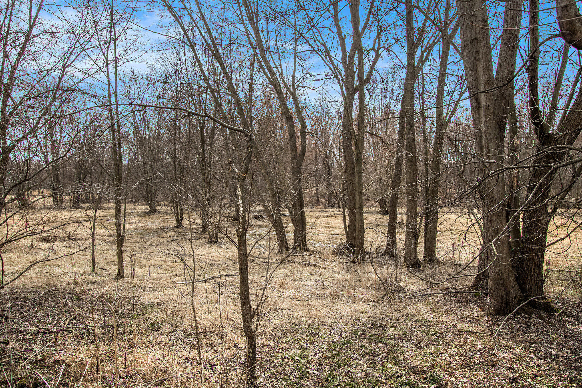 8710 Hagar Shore Road Watervliet, MI 49098 - Photo 3 of 13 002_img_1338_896