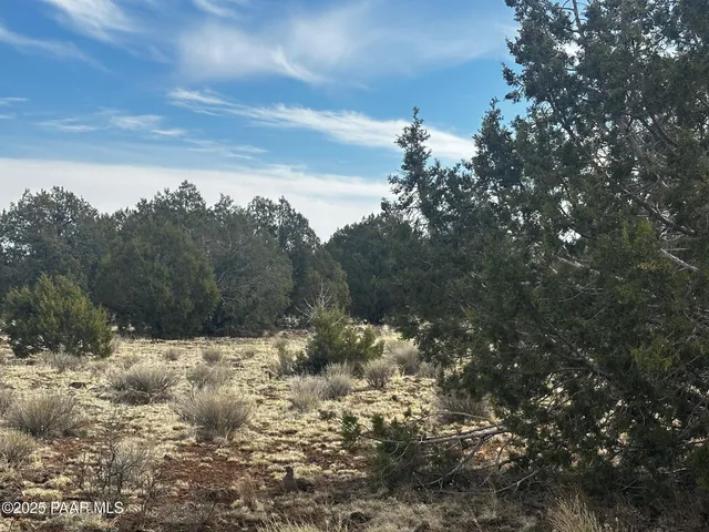 a view of snow covered with fog