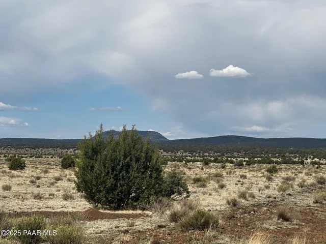 a view of lake and mountain