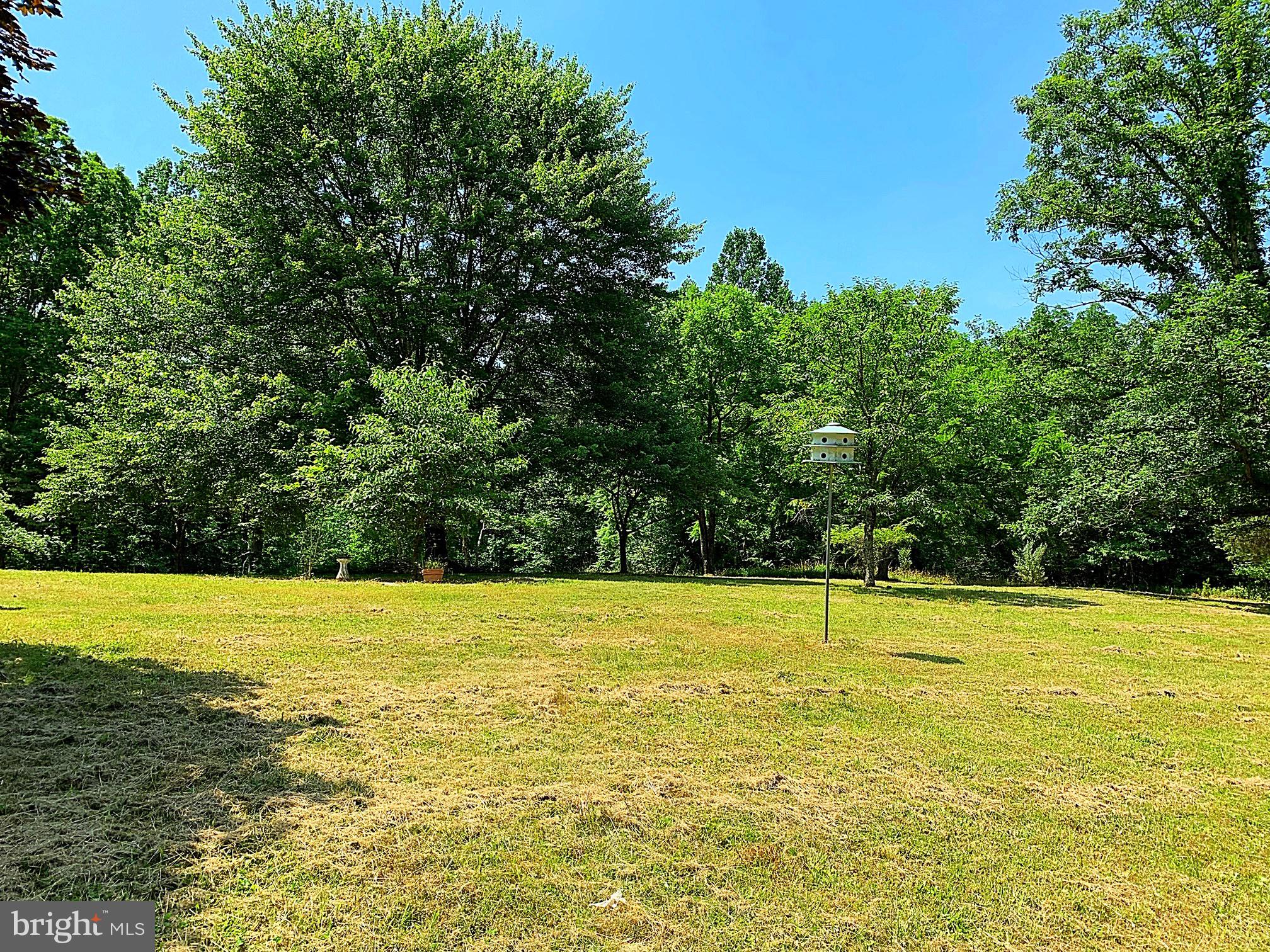 12124 Obannons Mill Road Boston, VA 22713 - Photo 24 of 28