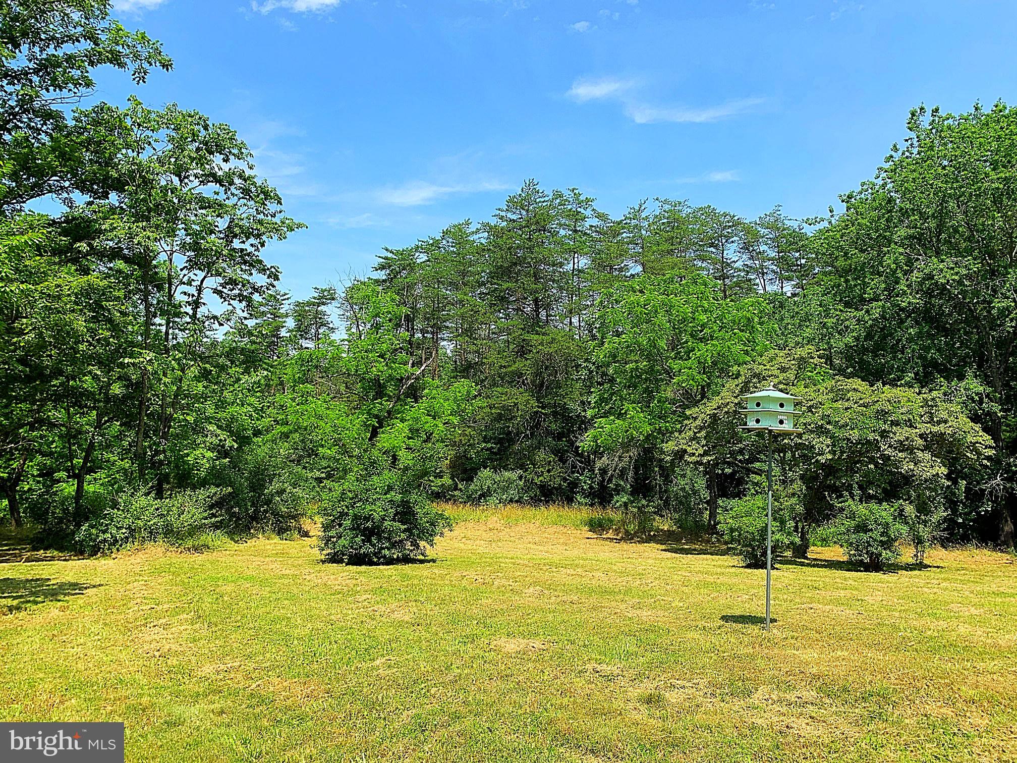 12124 Obannons Mill Road Boston, VA 22713 - Photo 25 of 28