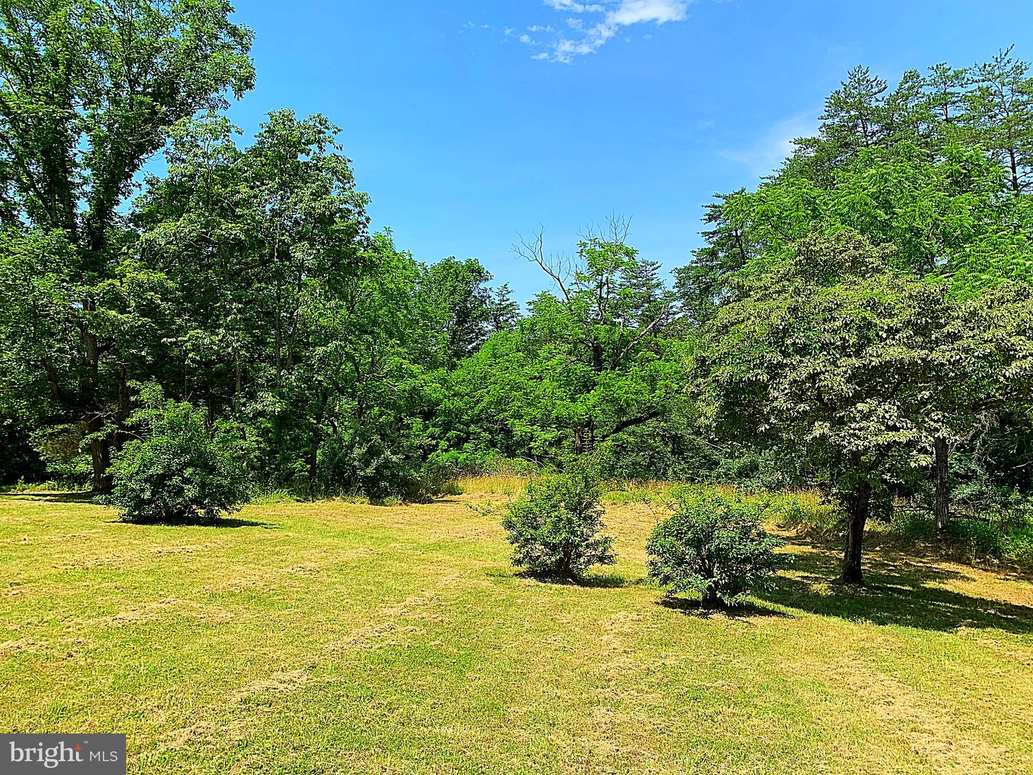 12124 Obannons Mill Road Boston, VA 22713 - Photo 26 of 28