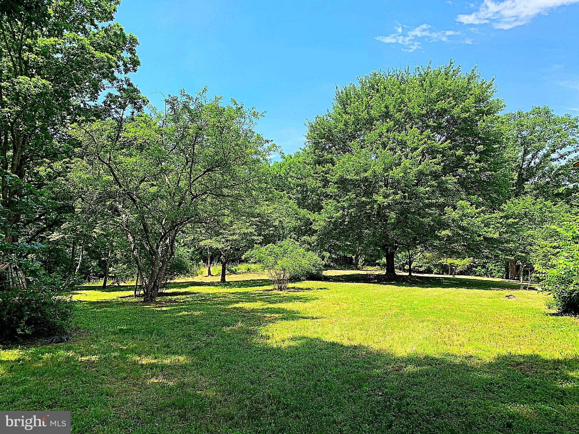12124 Obannons Mill Road Boston, VA 22713 - Photo 27 of 28
